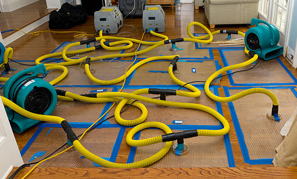 Professional Water Damage Repair technician working in Le Grand, CA